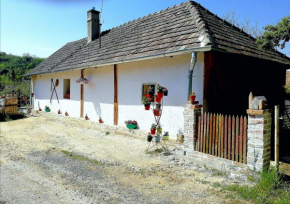 Traditionelles Bauernhaus Flieder